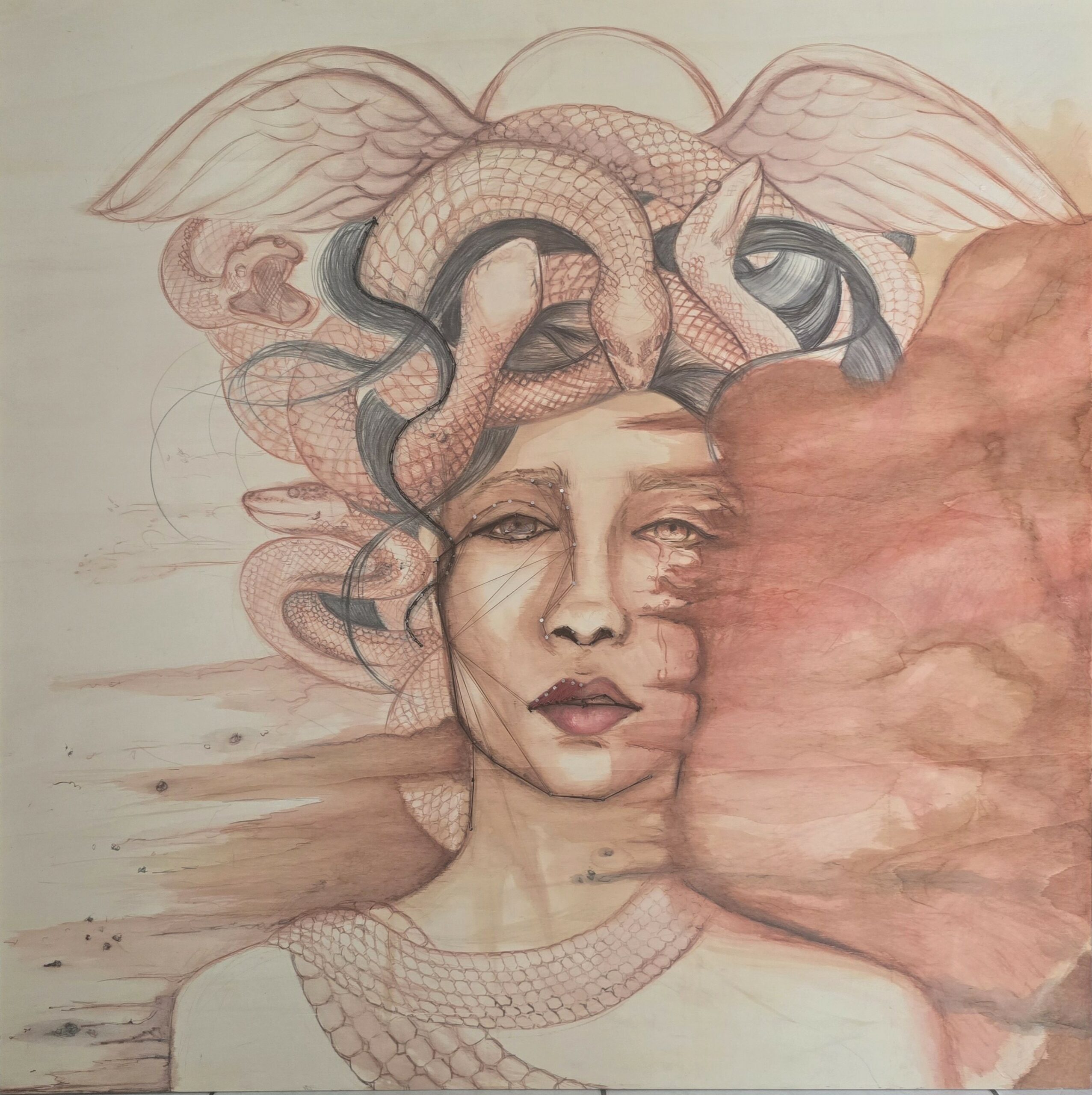 Medusa